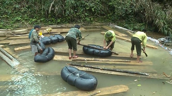 Kỷ luật hàng loạt cán bộ liên quan đến vụ phá rừng nghiêm trọng ở Quảng Bình