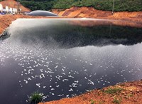Xả thải gây ô nhiễm, công ty thức ăn chăn nuôi bị xử phạt gần 200 triệu đồng