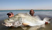 Sông Nile: Tồn tại của loài 