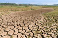 Tài nguyên đất bị ảnh hưởng thế nào do biến đổi khí hậu trong 50 năm qua?
