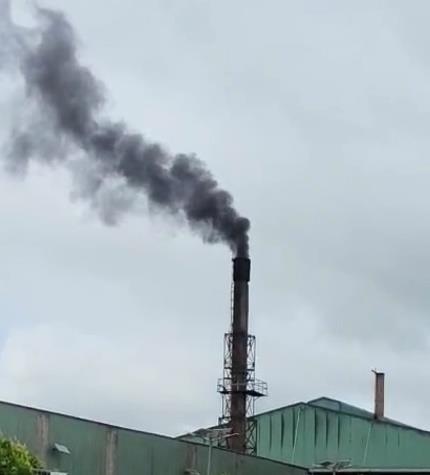 Bình Phước: Công ty cổ phần Môi trường Thảo Dương Xanh nói gì khi bị phản ánh gây ô nhiễm môi trường?