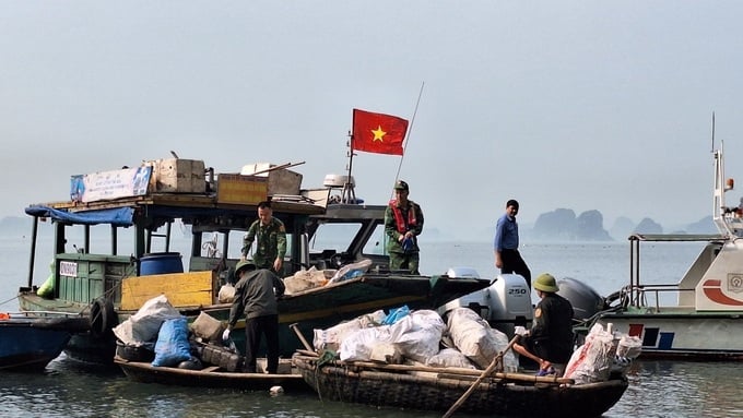 Thu gom rác thải trên Vịnh Hạ Long
