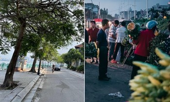 Một con phố ở Hà Nội lọt top các đường phố tuyệt vời nhất thế giới năm 2024