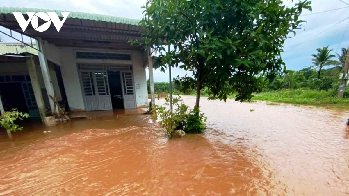 Thiên tai gây thiệt hại hơn 44 tỷ đồng ở Bình Phước