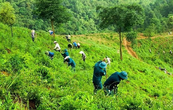 Giảm phát thải thông qua bảo tồn rừng, Việt Nam nhận 51,5 triệu USD từ Ngân hàng Thế giới