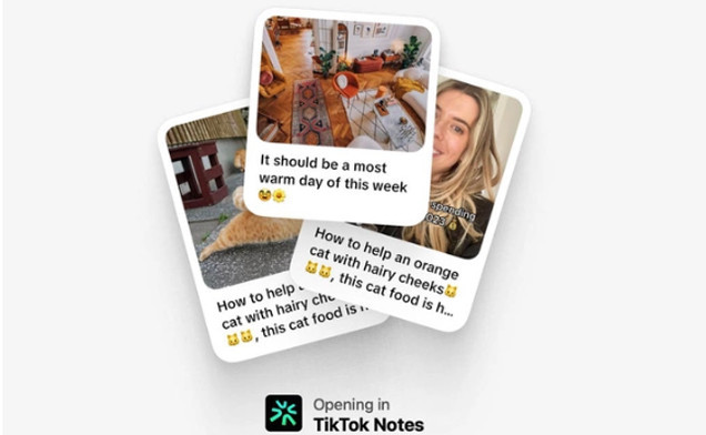 TikTok sắp ra mắt ứng dụng chia sẻ ảnh