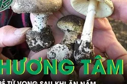 Thương tâm 7 bà cháu ngộ độc do ăn nấm rừng, 2 cháu nhỏ tử vong