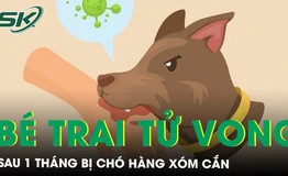 Tử vong sau 1 tháng bị chó nhà hàng xóm cắn nhưng chủ quan không tiêm phòng dại