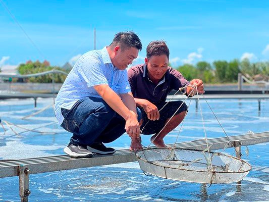 Nuôi tôm cân bằng sinh học, thích ứng với biển đổi khí hậu