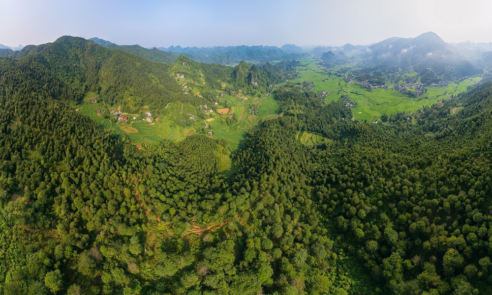 Lạng Sơn: Chỉ đạo triển khai thực hiện điều tra rừng trên địa bàn tỉnh năm 2024