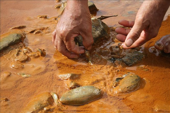 Kiểm tra hiện trường, điều tra nguyên nhân nước đổi màu, cá chết trên sông Nậm Huống