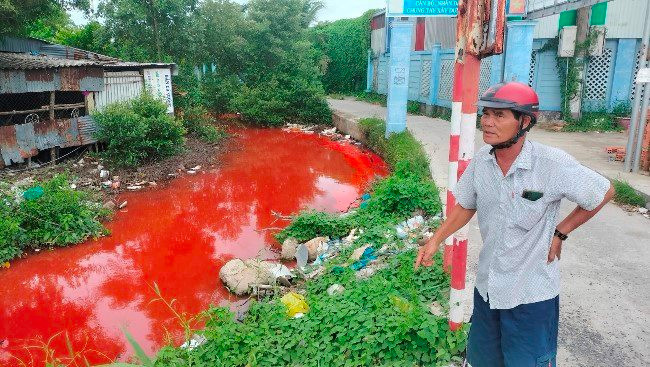 Cà Mau: Nước kênh Nàng Âm chuyển sang màu đỏ bất thường