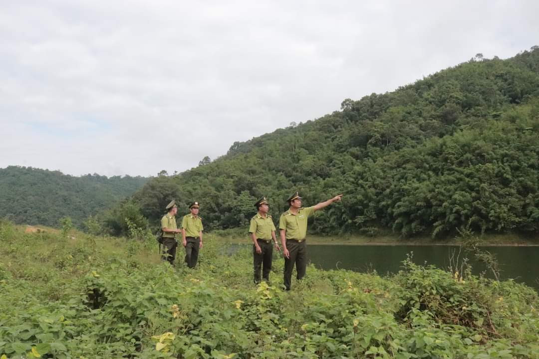 Nghệ An: Huyện Quế Phong có 44 cộng đồng dân cư tham gia hoạt động quản lý rừng