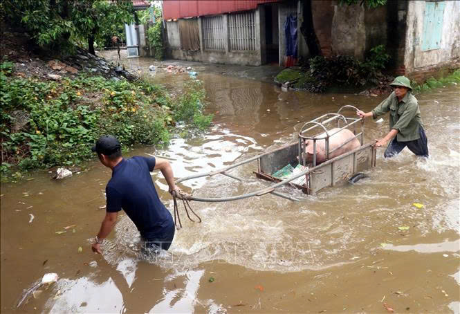 Hưng Yên chủ động ứng phó với lũ lớn trên sông Hồng