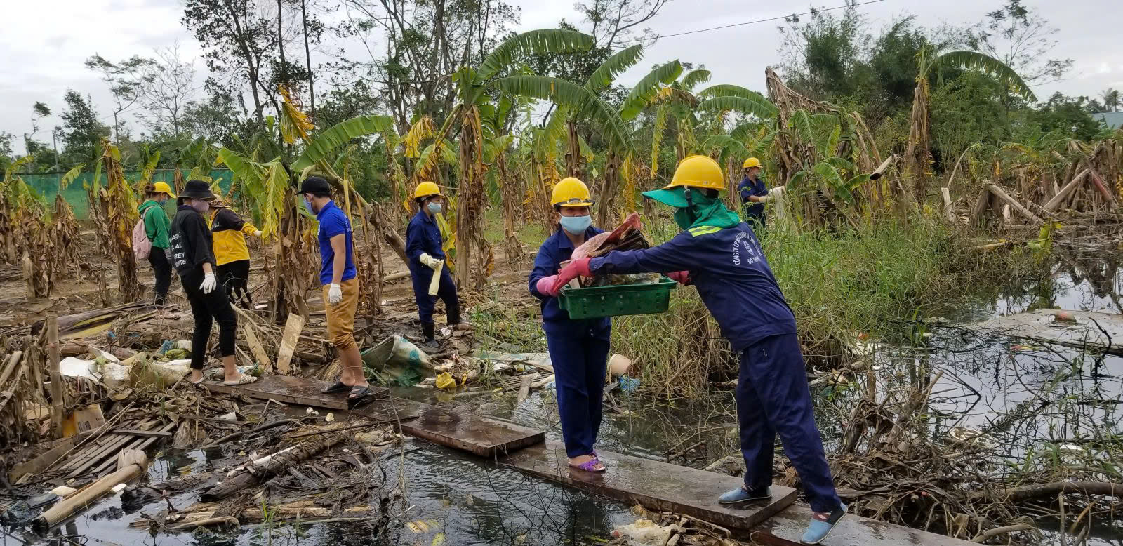 Chống dịch bệnh và vệ sinh môi trường trong và sau mưa lũ, ngập lụt