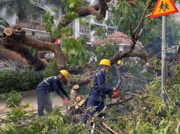 Quản lý mảng xanh: Thách thức mới của ‘siêu đô thị’