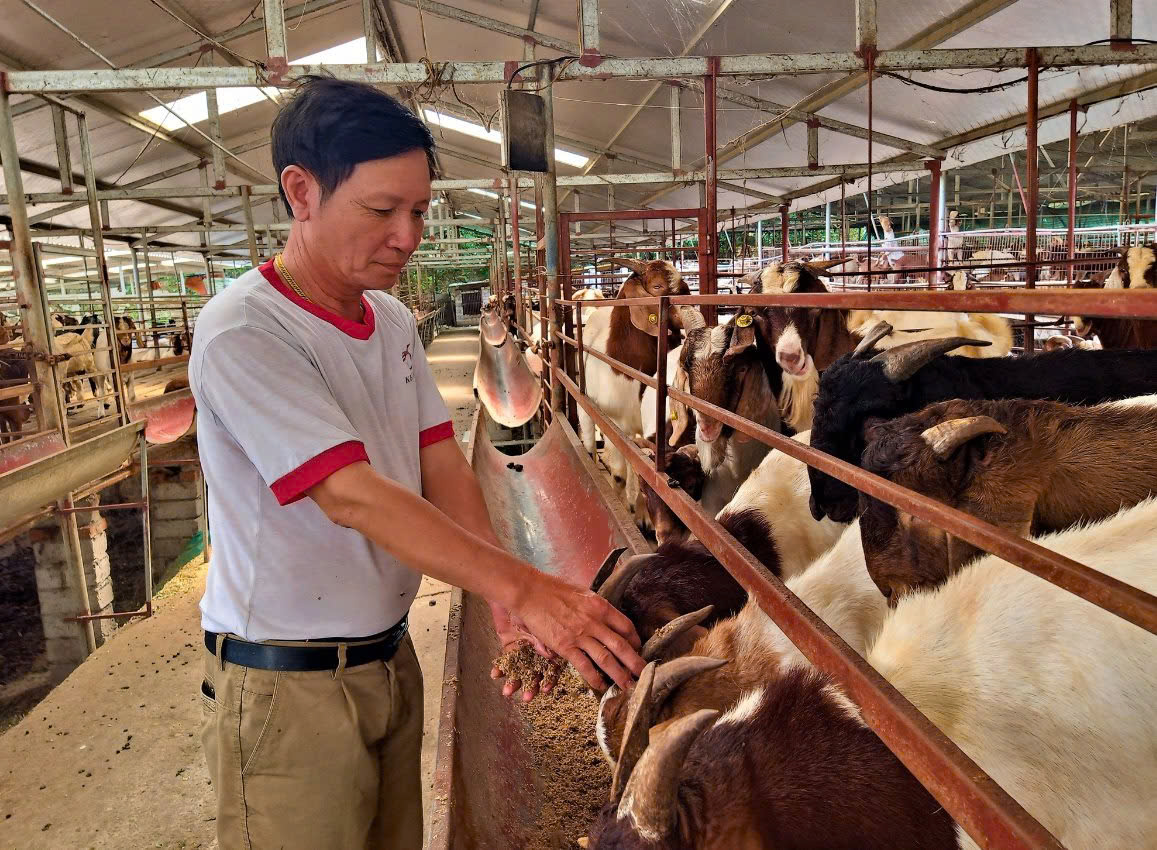 Hải Dương đề xuất quy định các khu vực không được phép chăn nuôi để giảm ô nhiễm môi trường