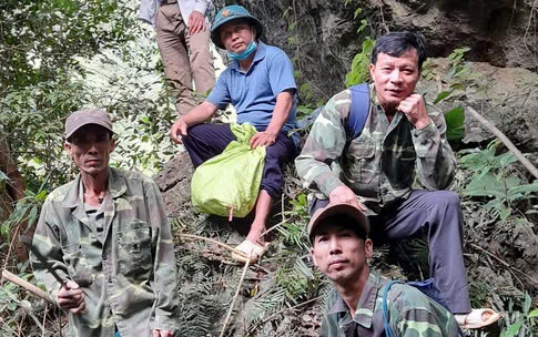 Những người tự nguyện bám rừng bảo vệ loài linh trưởng quý hiếm nằm trong Sách đỏ