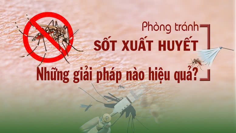 Toạ đàm ‘Phòng tránh sốt xuất huyết - Những giải pháp nào hiệu quả?’