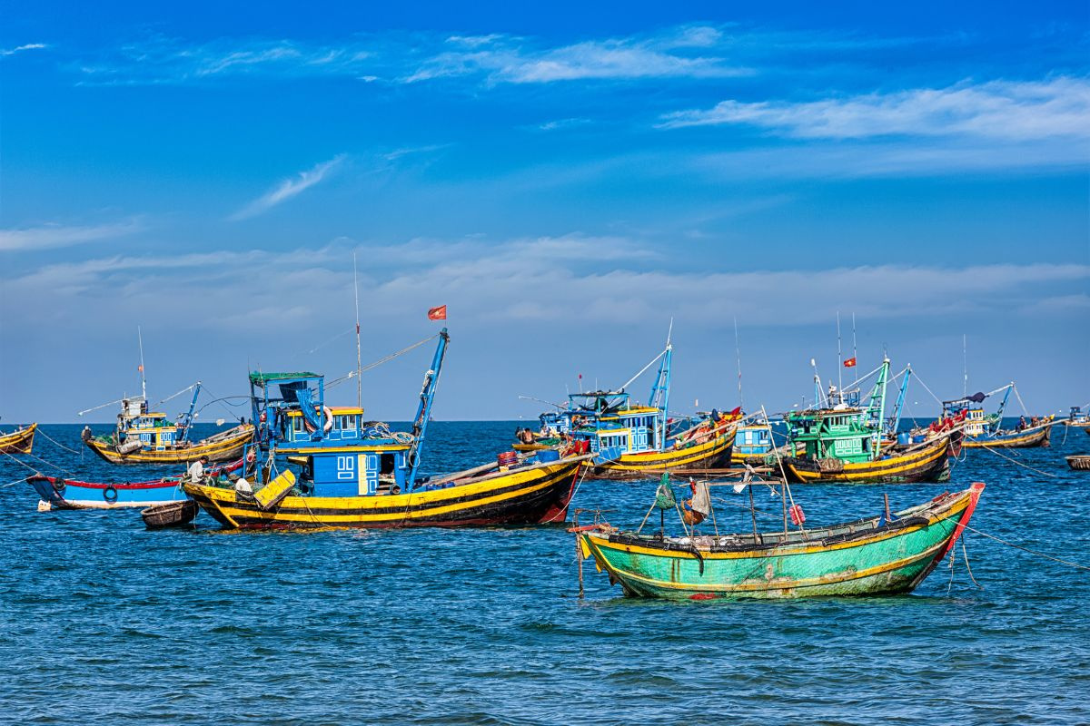 Phú Yên siết chặt quản lý, ngăn chặn tàu cá xâm phạm vùng biển quốc tế