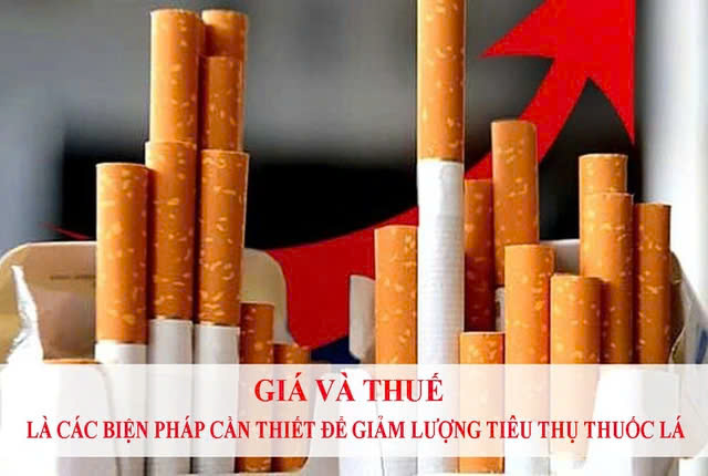 Chuyên gia của WHO: Nên tăng thuế thuốc lá sớm nhất có thể để 'cùng thắng'