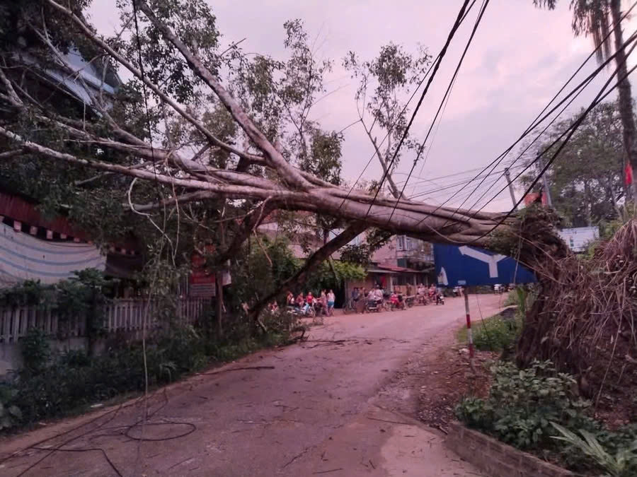 Yên Bái dông lốc khiến 1 người bị thương, 59 nhà dân bị ảnh hưởng