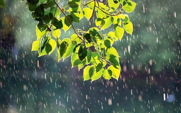 Ảnh hưởng không khí lạnh, miền Bắc có mưa vừa, mưa to và dông