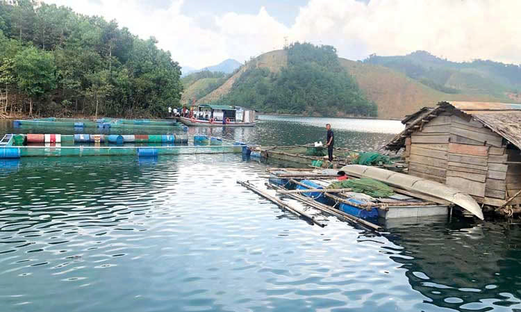 Quảng Ngãi tăng cường quan trắc môi trường trong nuôi trồng thủy sản