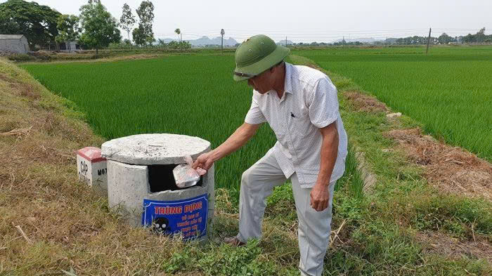 Làm sạch đồng ruộng từ việc thu gom bao bì thuốc bảo vệ thực vật