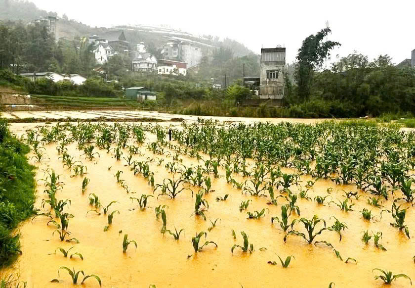 Thủ tướng yêu cầu tập trung ứng phó nguy cơ sạt lở đất, lũ quét, ngập lụt cục bộ ở Bắc Bộ