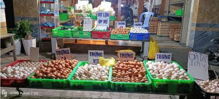 Doanh nghiệp chật vật vì tin đồn trứng gà giả