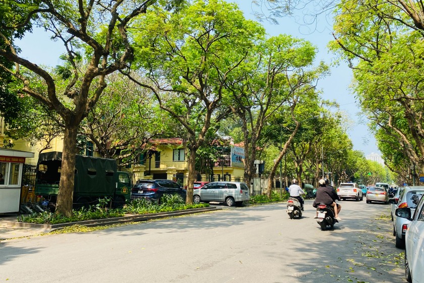 Thời tiết ngày 15/6: Bắc Bộ nắng nóng gay gắt, có nơi trên 38 độ C