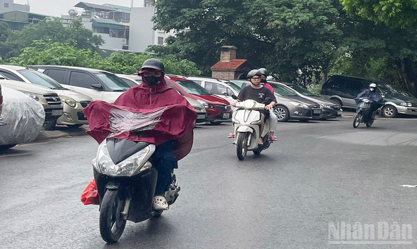 Ngày 30/6, Bắc Bộ có mưa vừa, mưa to và dông