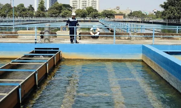 TP. HCM ủy quyền kiểm tra việc chấp hành pháp luật về tài nguyên nước