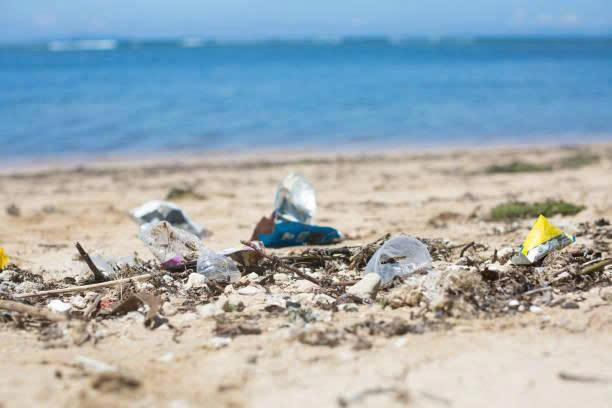 Ngày Môi trường thế giới năm 2025: Tài nguyên đa dạng sinh học biển có thể biến mất nếu không hạn chế rác thải nhựa