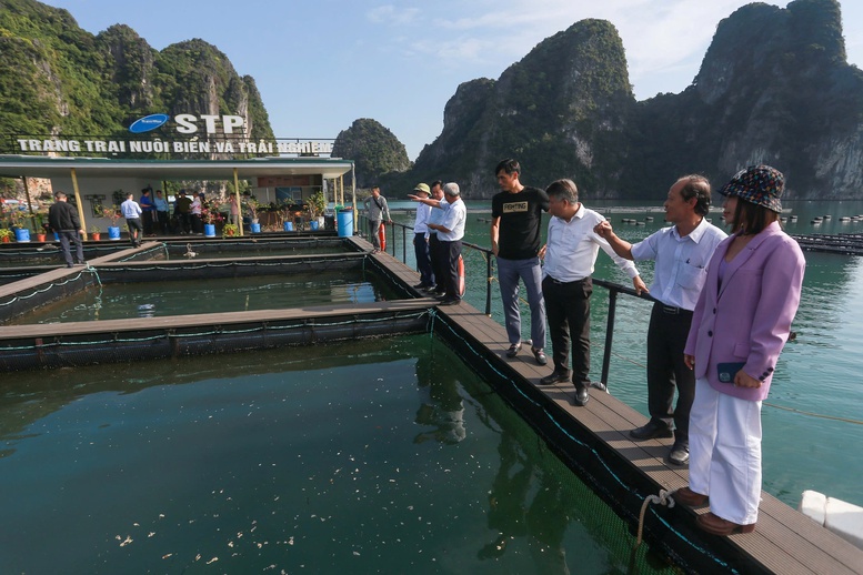 Bộ Nông Nghiệp và Môi Trường thực hiện phân cấp, phân quyền cho địa phương
