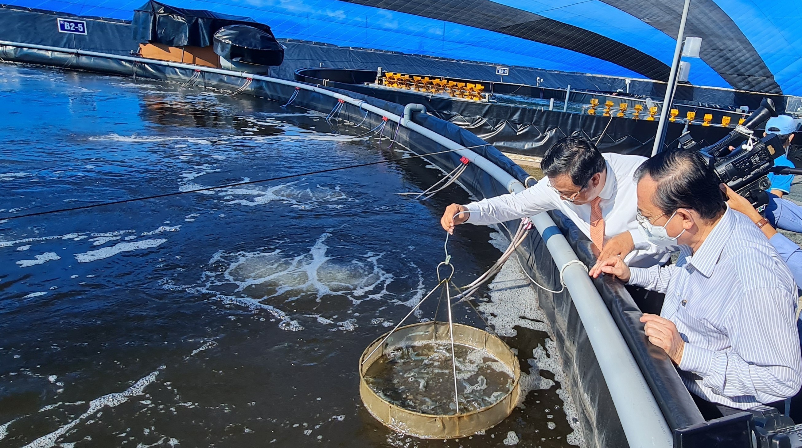 Khoa học công nghệ giúp nâng cao giá trị ngành tôm Quảng Ninh