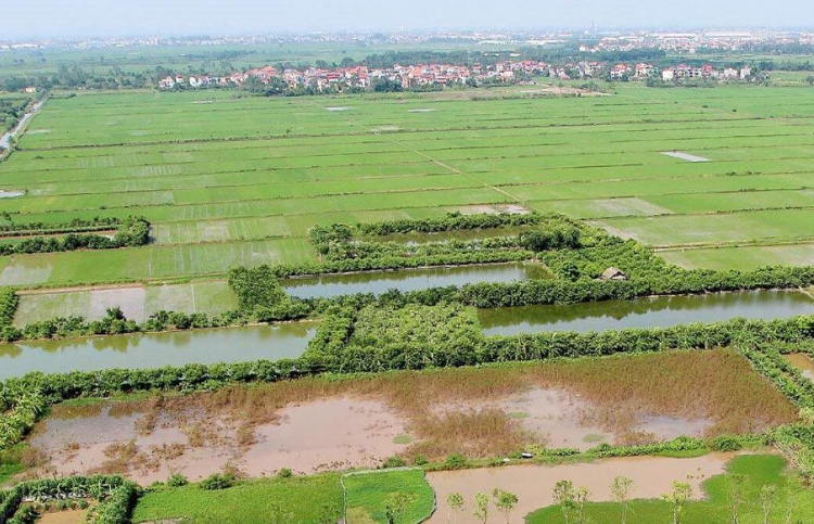 TP. HCM đề xuất tăng giá đất nông nghiệp lên 65% so với đất ở