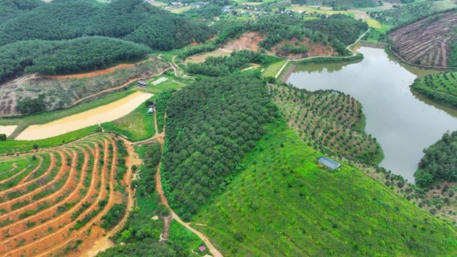 Lâm Đồng: Siết chặt quản lý đất đai trong giai đoạn sáp nhập