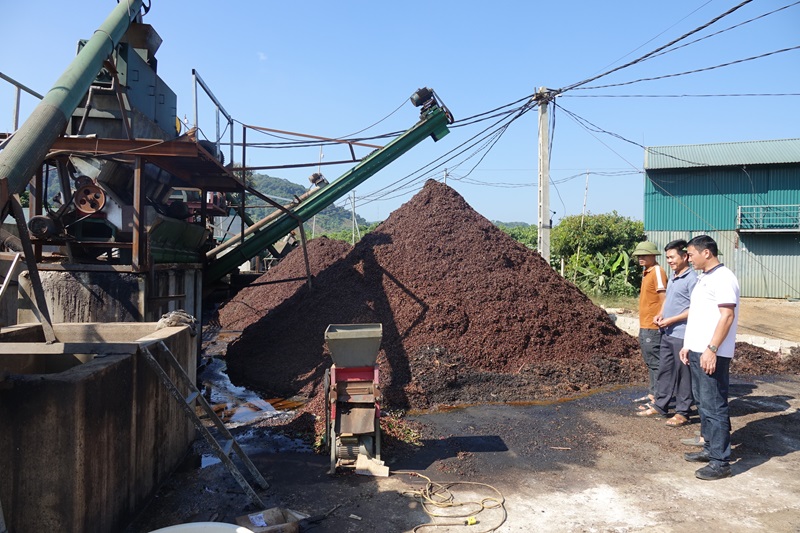 Sơn La triển khai giải pháp xử lý chất thải trong sản xuất cà phê