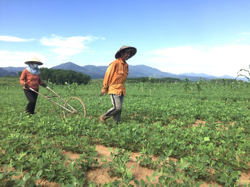 Quảng Trị, tăng cường bảo vệ môi trường, hỗ trợ sinh kế và thích ứng với biến đổi khí hậu