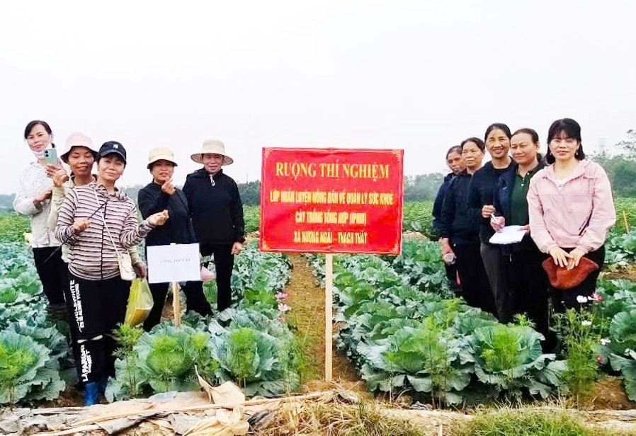 Nông nghiệp Thủ đô hướng đến bảo vệ môi trường và phát triển bền vững