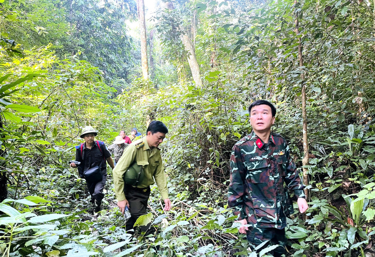 Tăng cường bảo vệ rừng tại Khu dự trữ thiên nhiên Kim Hỷ