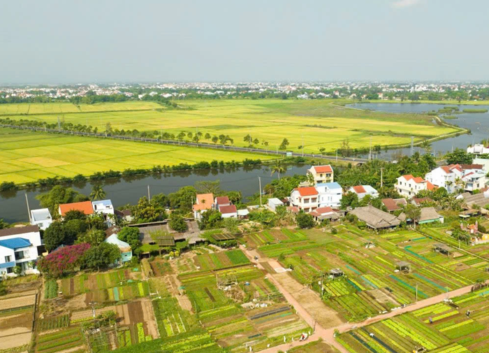 Định hướng phát triển nông nghiệp: Quản lý chặt chẽ diện tích đất chuyên trồng lúa