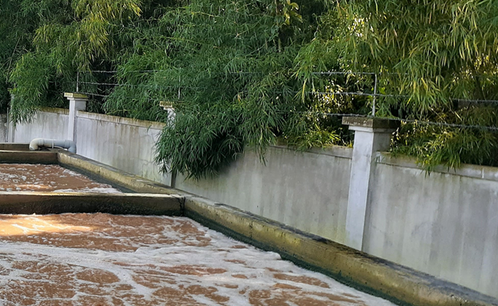 Đề xuất các trường hợp được miễn phí bảo vệ môi trường với nước thải