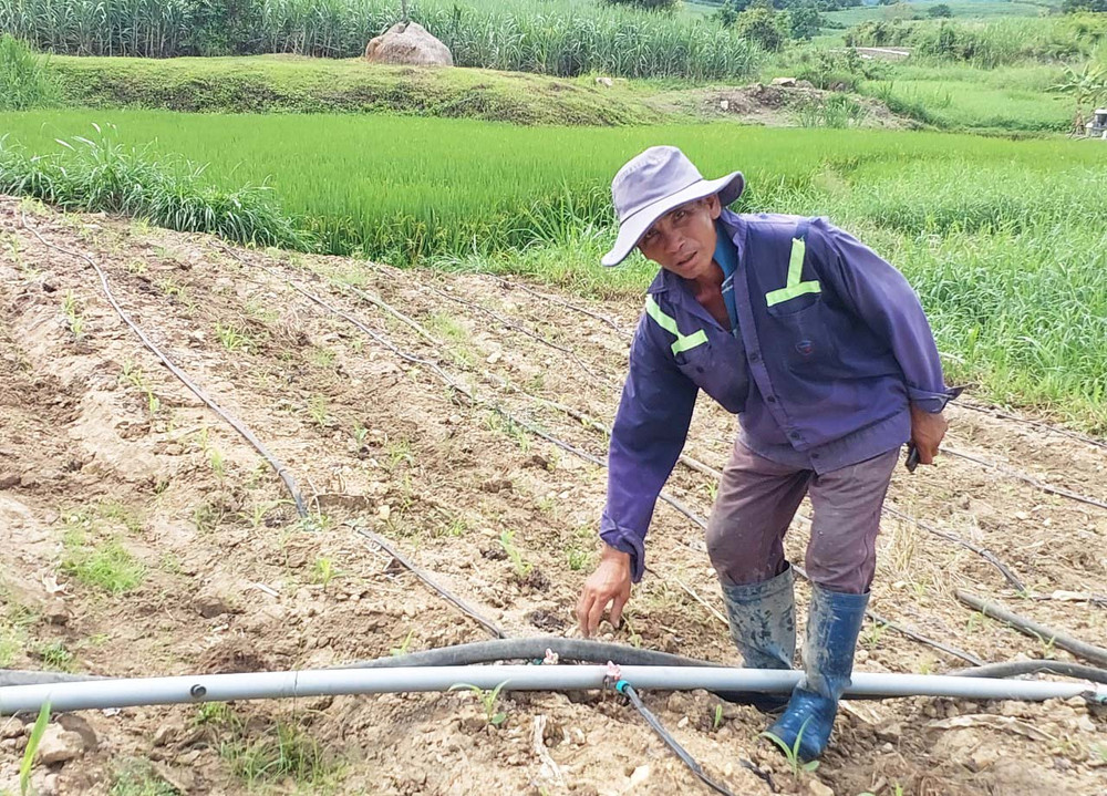 Cần Thơ: Chủ động, linh hoạt các giải pháp ứng phó nguy cơ cạn kiệt nước ngầm