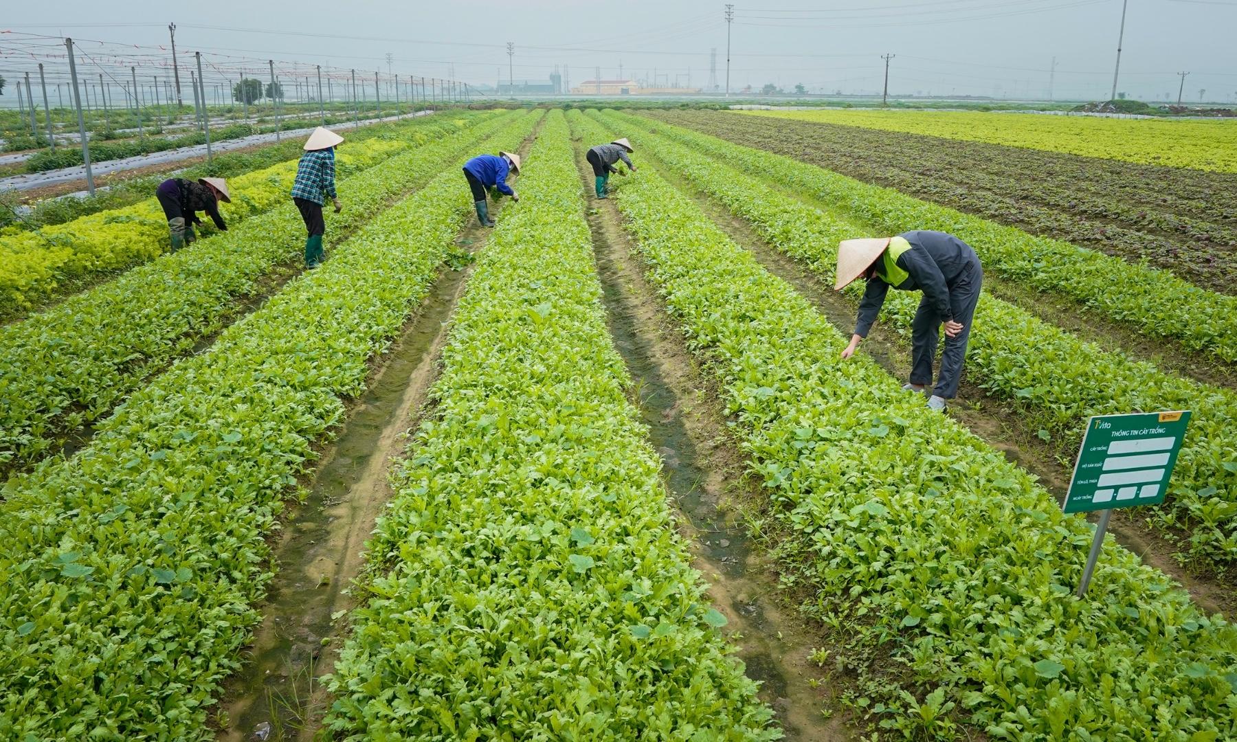 Hà Nội tăng tốc số hóa trong quảng bá và tiêu thụ sản phẩm OCOP