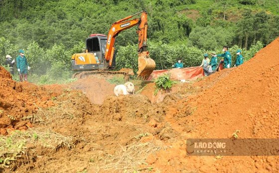 Một tháng, Tuyên Quang tiêu hủy hơn 2.100 tấn lợn mắc dịch tả lợn châu Phi