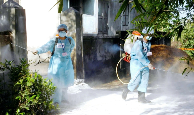 Liên cầu lợn ở người tăng đột biến,TP. Huế khuyến cáo phòng tránh