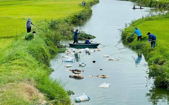 Một xã ở Quảng Trị phát hiện khoảng 50 xác lợn trôi nổi